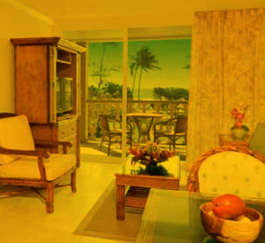 Accommodations and Hotels